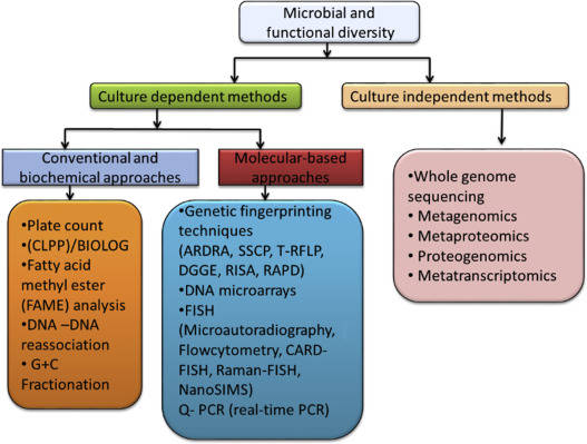 Methods for microbial diversity studies