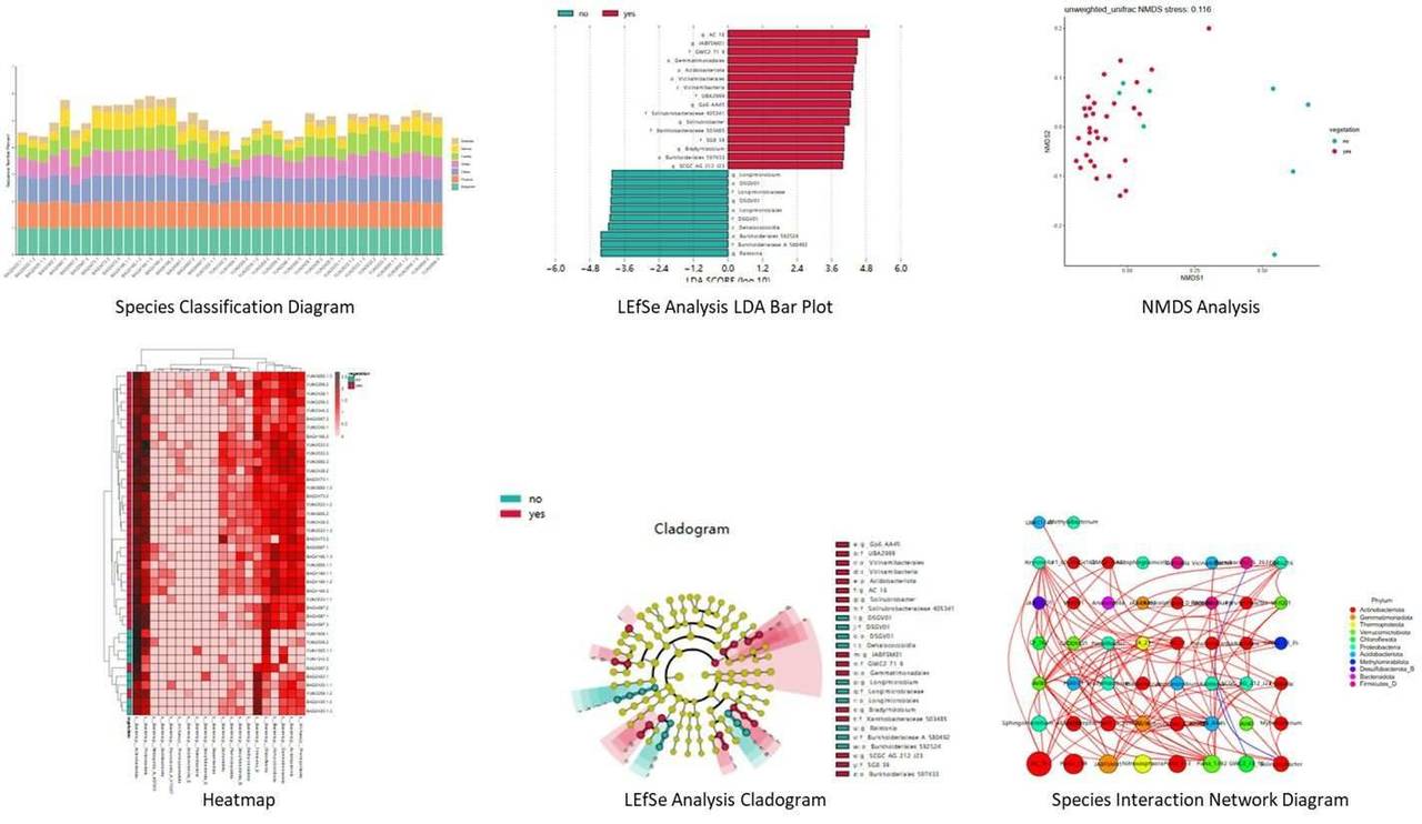 The Microbial Diversity Analysis of Soil Results Display.