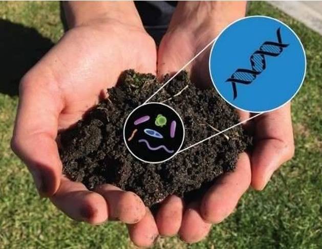 microbial-diversity-in-soil-2-1