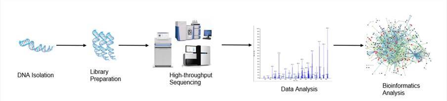 High-throughput sequencing analysis process.