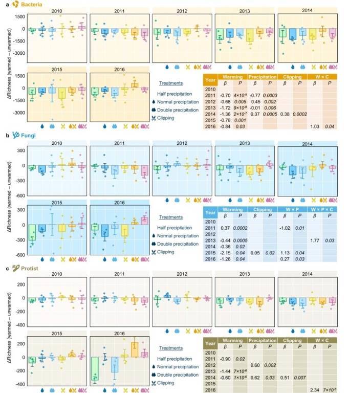 Yearly differences of bacterial (a), fungal (b), and protistan (c) richness between warmed and unwarmed samples.