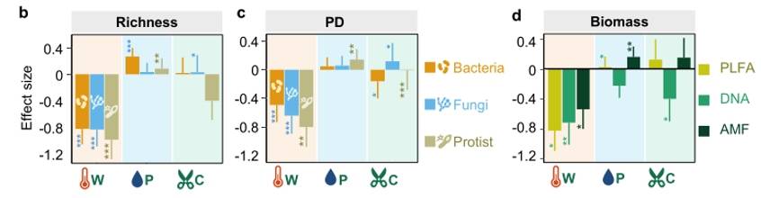 Effects of Different treatments on soil bacterial, fungal, and protist diversity indices, lineage diversity, and biomass