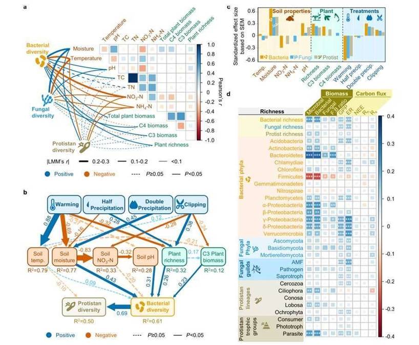 Environmental drivers of microbial diversity.