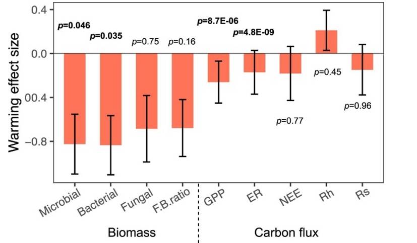 Effects of experimental warming on different ecosystem functions.