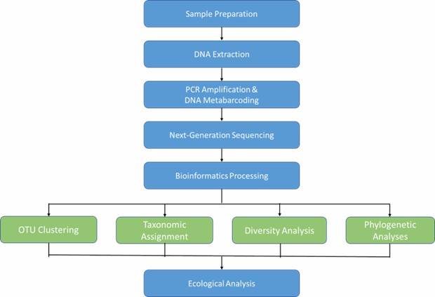 The Workflow of Microbial DNA Metabarcoding.