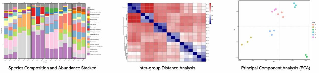 The Microbial DNA Metabarcoding Results Display.