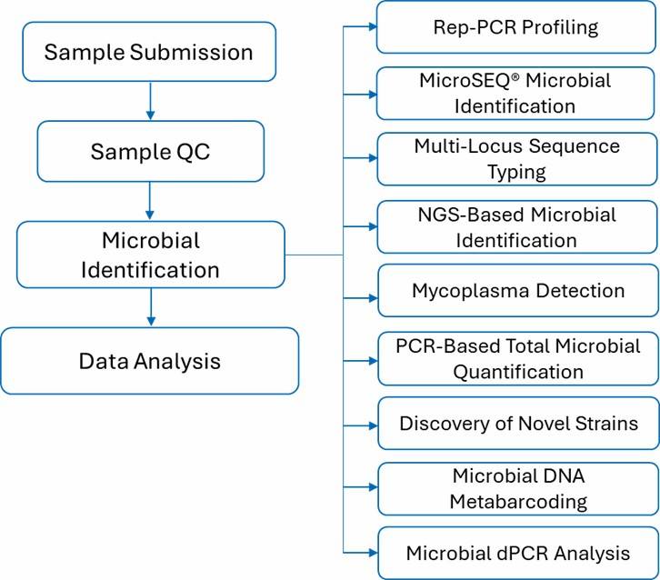 The Workflow of Microbial Identification.
