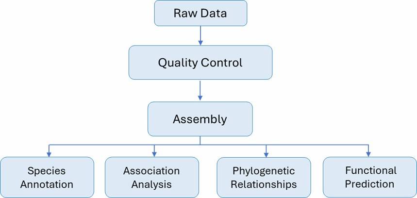 The Bioinformatics Analysis pipeline of Microbial Identification.