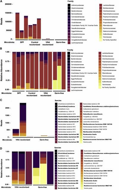 Fig 1. Bacterial species identified through metagenomic sequencing. (Platt et al., 2021)