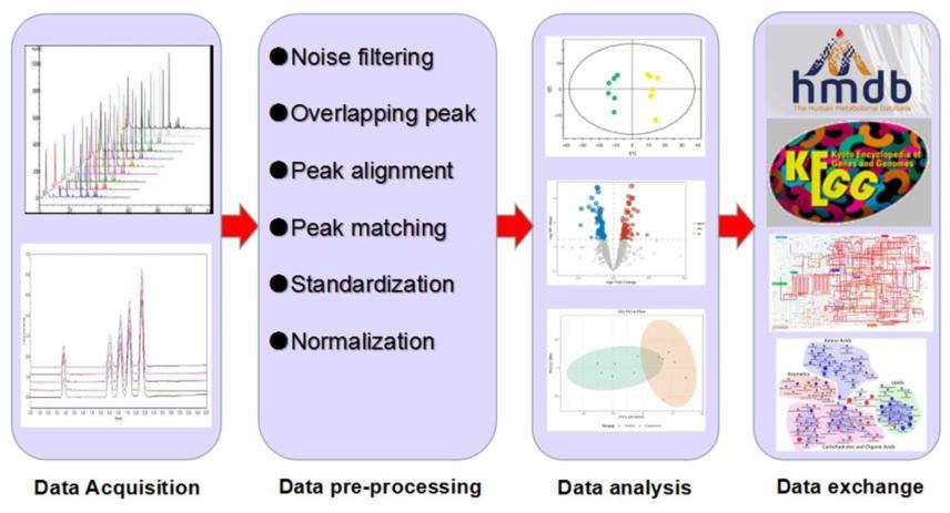 Microbial metabolomics: From novel technologies to diversified applications. (Dongyuan Ye et al., 2022)