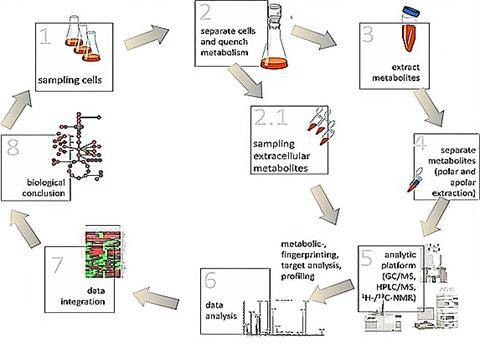 microbial-metabolomics-analysis