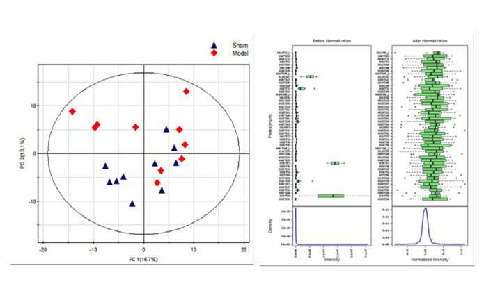 microbial-metabolomics-analysis