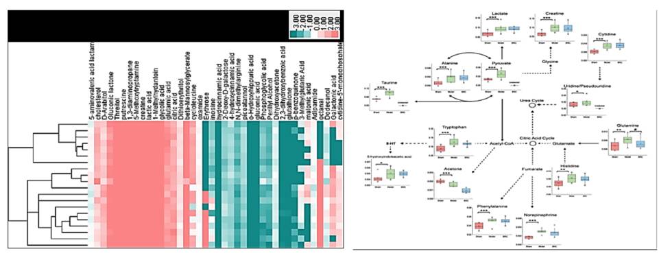 microbial-metabolomics-analysis