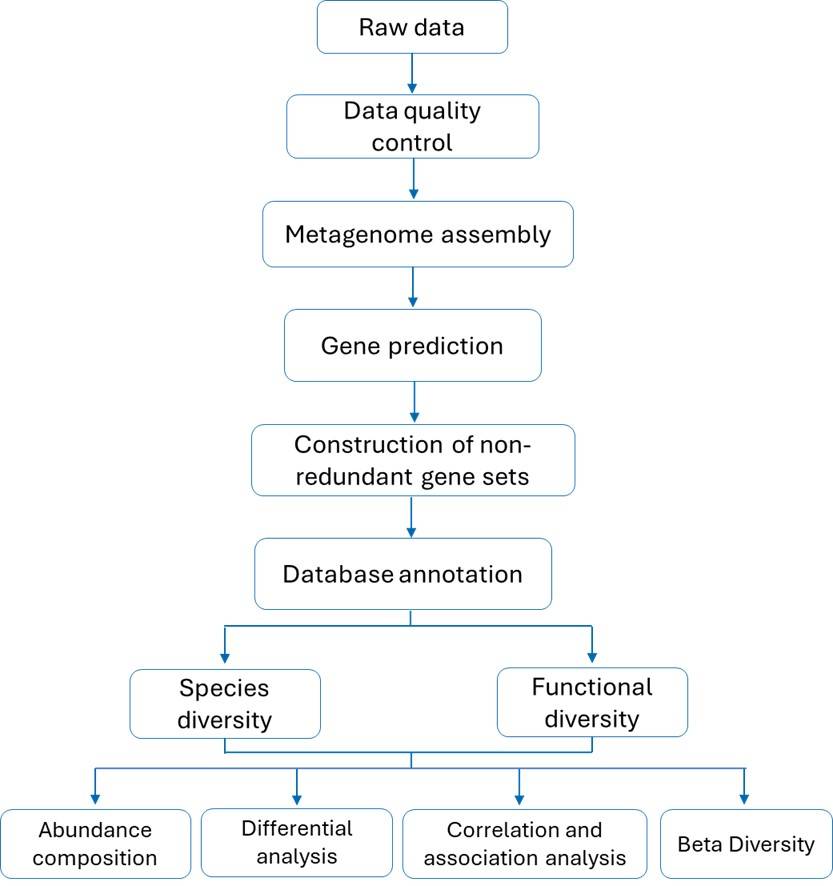 Bioinformatics Analysis Pipeline of Microbial Metagenomics.