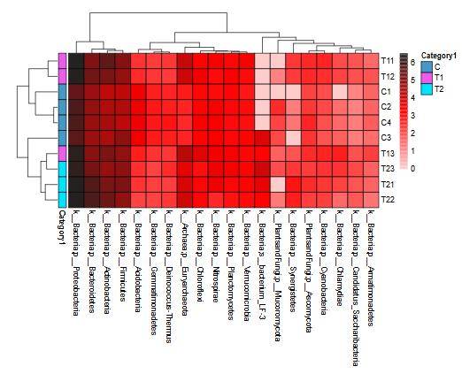 Heatmap visualization.