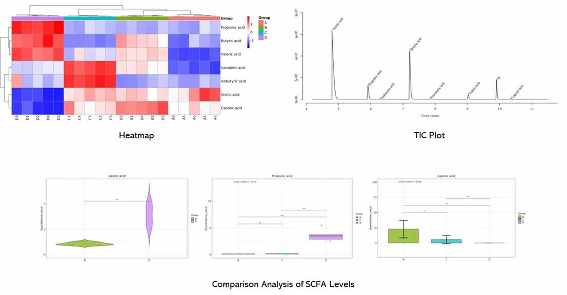 The Microbial Short-Chain Fatty Acid Analysis Results Display Figure.