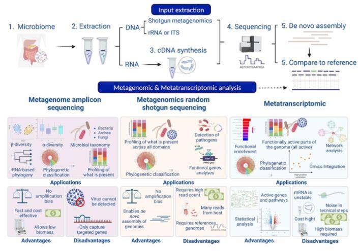 Workflow of a metagenomic analysis: laboratory and bioinformatic analysis (Laura C. Terrón-Camero et al,. 2022)