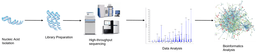 The high-throughput sequencing analysis process