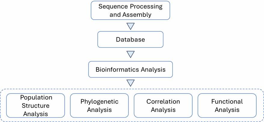 The Bioinformatics Analysis of Multi-Locus Sequence Typing.