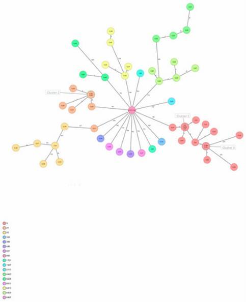 Figure 1. Minimum spanning tree constructed for C. jejuni isolates. (Aksomaitiene et al., 2023)