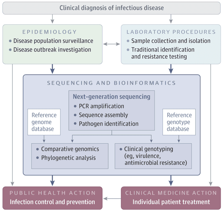 Workflow Converting genome sequence data from pathogens into credible data. 