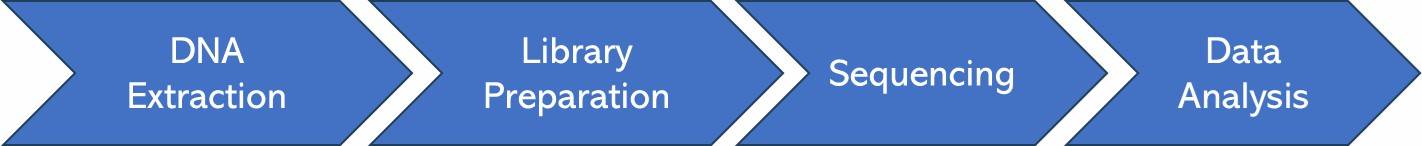 The Workflow of NGS-Based Microbial Identification.