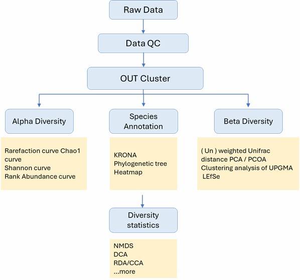The Bioinformatics Analysis of NGS-Based Microbial Identification-16S/18S/ITS sequencing.