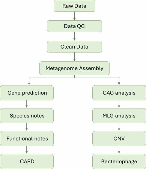 The Bioinformatics Analysis of NGS-Based Microbial Identification- metagenomics sequencing.