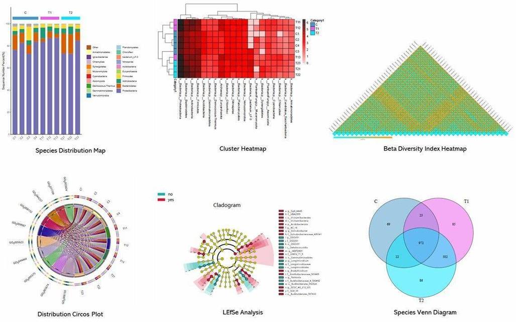 The NGS-Based Microbial Identification Results Display.