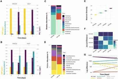 Figure 1. Role of sediment and pore water bacterial communities in nutrient recirculation in Lake Caviahue. (Cuevas et al., 2024) 