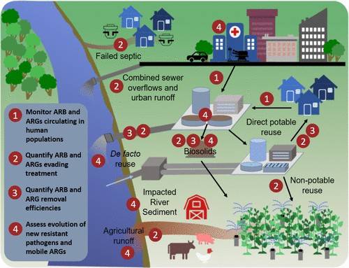 ARGs and MGEs in humans and environment pathway