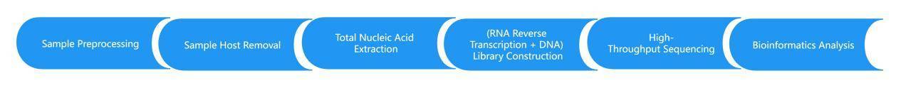 Pathogens Whole Genome Sequencing Service