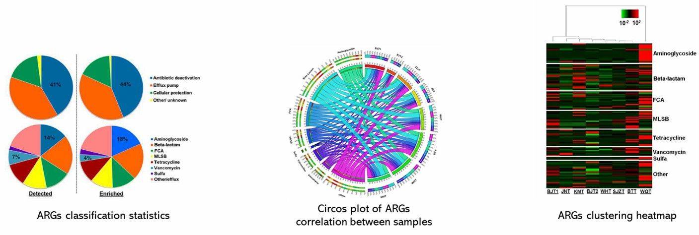 The PCR-based Microbial Antibiotic Resistance Gene Analysis Results Display.
