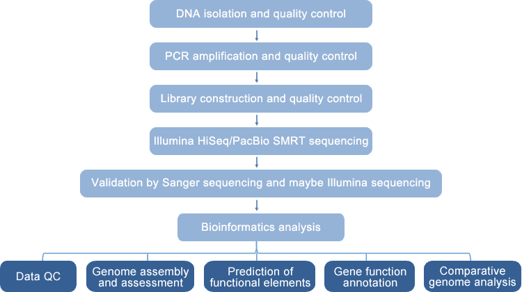 Phage Whole-Genome Sequencing Workflow