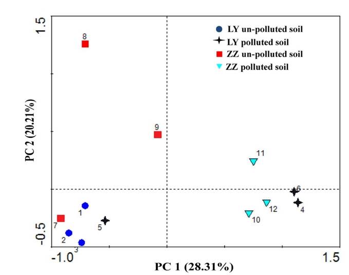 PCA analysis plot example.