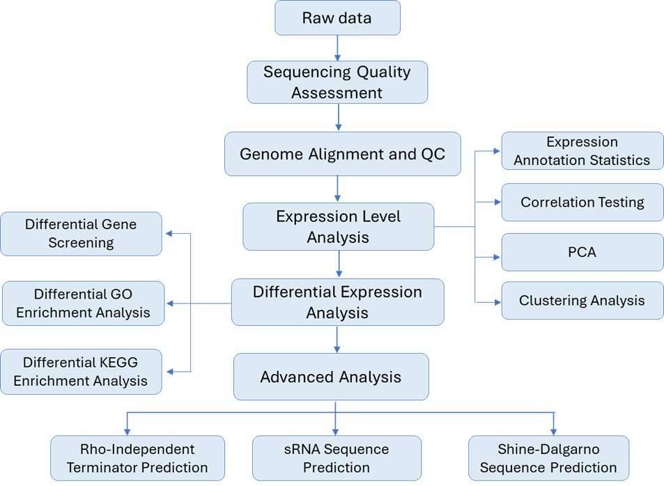 The Bioinformatics Analysis pipeline of Prokaryotic RNA Sequencing.
