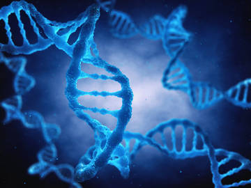 Pathogen Sequencing Solutions