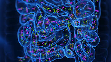 Gut Microbiome Research Solution
