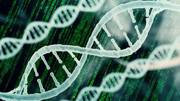 Pathogens mNGS Sequencing Service