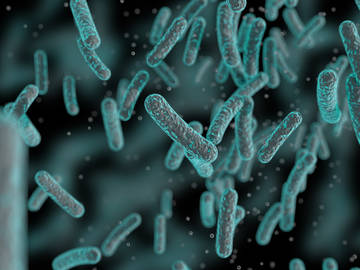 Industrial Microbiology Solutions