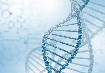 Fungal Whole Genome De Novo Sequencing