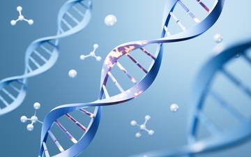 Understanding Microbial Functional Gene by PCR-Based Microbial Identification Methods