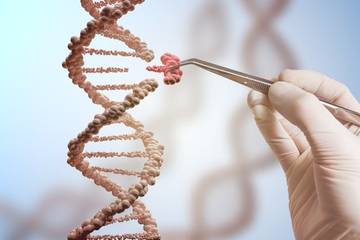 Archaeal 16S rRNA Sequencing