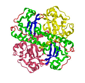 PCR-based Microbial Antibiotic Resistance Gene Analysis