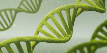 Microbial Metabolomics Analysis Service