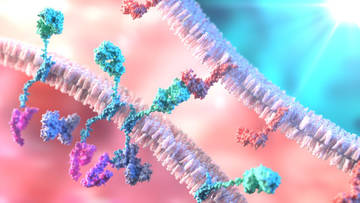 Prokaryotic RNA Sequencing