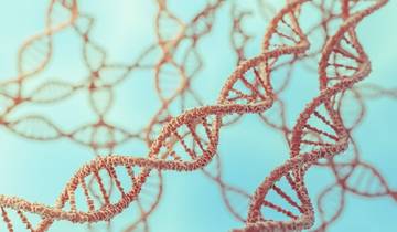 Microbial Whole Genome Sequencing