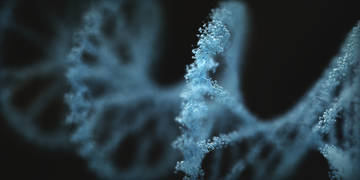 Microecology and Cancer Research Solutions