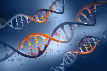 Microbial Whole Genome Sequencing