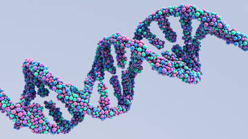 Sequencing Technologies Explain the Relationship Between Human Microbiome and Cancer